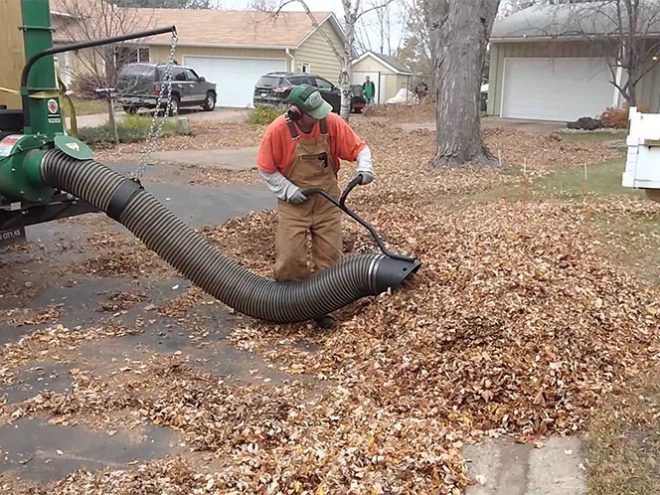 Leaf Cleanup and Removal Service